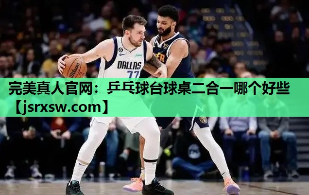 乒乓球台球桌二合一哪个好些