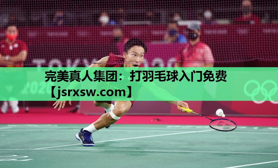 打羽毛球入门免费
